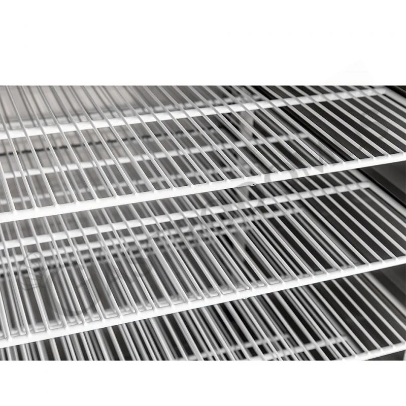 Armadio Freezer Per Gelateria -18°C/-25°C 900 LT Classe Energetica B 17 Armadio Freezer Per Gelateria -18°C/-25°C 900 LT Classe Energetica B - immagine 15