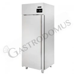 Armadio Freezer Per Gelateria -18°C/-25°C 900 LT Classe Energetica B