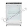 Armadio Refrigerato Statico Porta Vetro -2°C/+8°C 103 LT Classe Energetica D