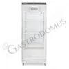 Armadio Refrigerato Statico Porta Vetro +2°C/+8°C 530 LT -Vendite Gastrodomus armadio refrigerato statico porta vetro 2c8c 530 lt