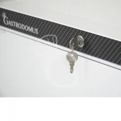 Armadio Refrigerato Statico Temperatura -2°C/+8°C 103 LT -Vendite Gastrodomus armadio refrigerato statico temperatura 2c8c 103 lt 3