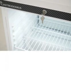 Armadio Refrigerato Statico Temperatura -2°C/+8°C 103 LT -Vendite Gastrodomus armadio refrigerato statico temperatura 2c8c 103 lt 5