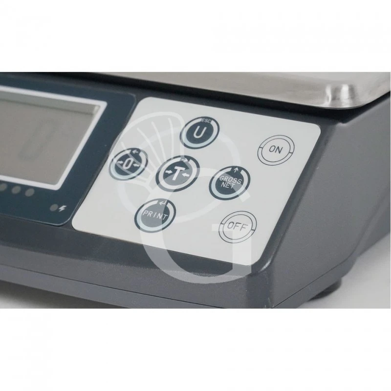 Bilancia In ABS Controllo Del Peso Portata 15 Kg Precisione 5 G L 245 Mm X P 310 Mm X H 95 Mm 6 Bilancia In ABS Controllo Del Peso Portata 15 Kg Precisione 5 G L 245 Mm X P 310 Mm X H 95 Mm - immagine 4