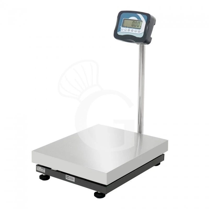 Bilancia Monocella Completa Portata 60 Kg Precisione 10 G L 500 Mm X P 400 Mm X H 840 Mm 4 Bilancia Monocella Completa Portata 60 Kg Precisione 10 G L 500 Mm X P 400 Mm X H 840 Mm - immagine 2