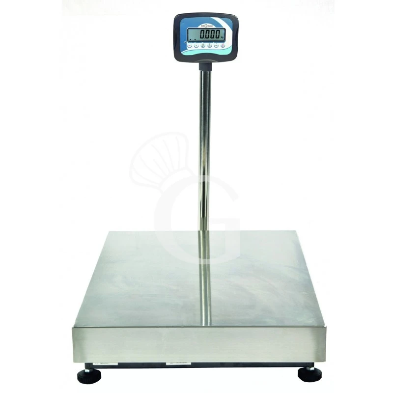 Bilancia Monocella Completa Portata 60 Kg Precisione 10 G L 500 Mm X P 400 Mm X H 840 Mm 3 Bilancia Monocella Completa Portata 60 Kg Precisione 10 G L 500 Mm X P 400 Mm X H 840 Mm