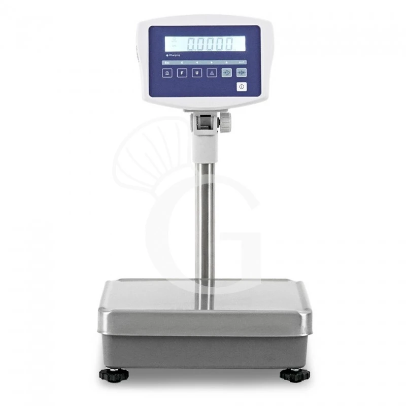 Bilancia Monocella Completa Portata 60 Kg Precisione 5 G L 360 Mm X P 320 Mm X H 600 Mm 3 Bilancia Monocella Completa Portata 60 Kg Precisione 5 G L 360 Mm X P 320 Mm X H 600 Mm