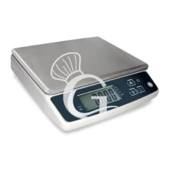 Bilancia In ABS Solo Peso Con Funzione Conta Pezzi, Portata 5 Kg, Precisione 0,5 G - L 240 Mm X P 240 Mm X H 70 Mm -Vendite Gastrodomus bilancia solo peso con funzione conta pezzi portata 5 kg e precisione 05 g 2