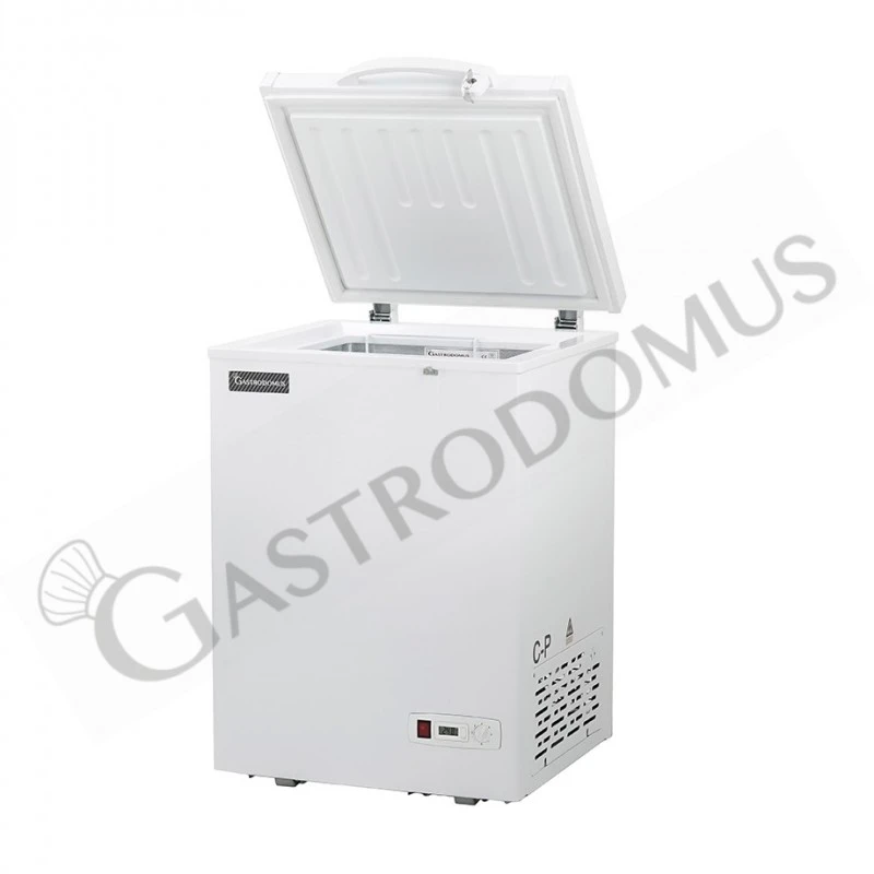 Congelatore A Pozzetto Statico 247 LT -18°C Classe Energetica F 4 Congelatore A Pozzetto Statico 247 LT -18°C Classe Energetica F - immagine 2