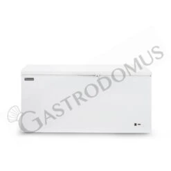 Congelatore A Pozzetto Statico 370 LT -18°C Classe Energetica F