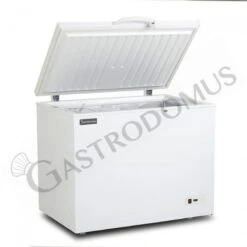 Congelatore A Pozzetto Statico 370 LT -18°C Classe Energetica F 10 Congelatore A Pozzetto Statico 370 LT -18°C Classe Energetica F -Vendite Gastrodomus congelatore a pozzetto statico 370 lt 18c classe energetica f 3