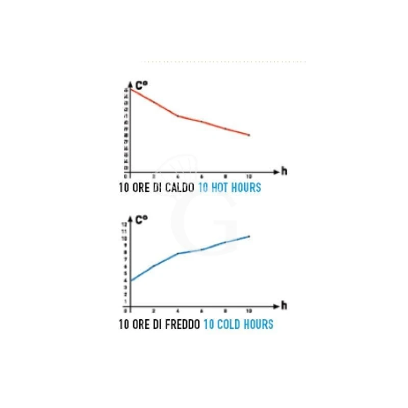 Contenitore Isotermico Monopasto Suddiviso In Tre Alveoli L 440 Mm X P 380 Mm X H 120 Mm 4 Contenitore Isotermico Monopasto Suddiviso In Tre Alveoli L 440 Mm X P 380 Mm X H 120 Mm - immagine 2