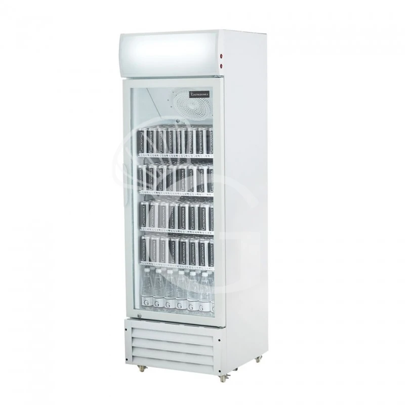 Frigo Bibite Ventilato 0°C/+10°C LT 290 Colore Bianco 4 Frigo Bibite Ventilato 0°C/+10°C LT 290 Colore Bianco - immagine 2