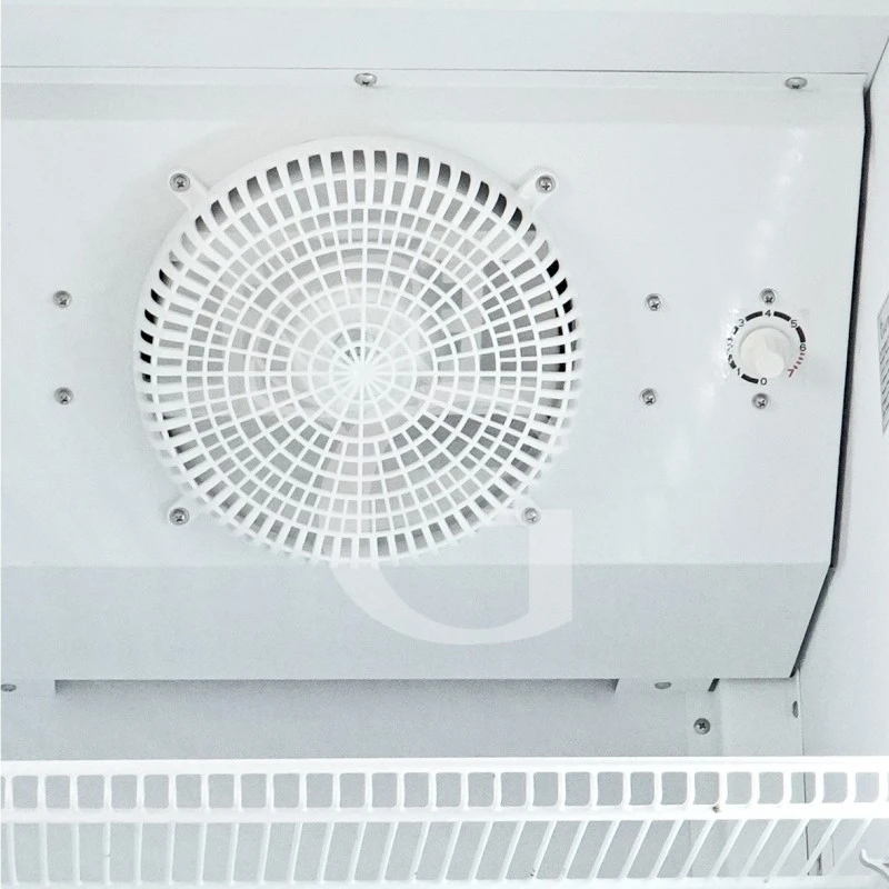 Frigo Bibite Ventilato 0°C/+10°C LT 290 Colore Bianco 7 Frigo Bibite Ventilato 0°C/+10°C LT 290 Colore Bianco - immagine 5