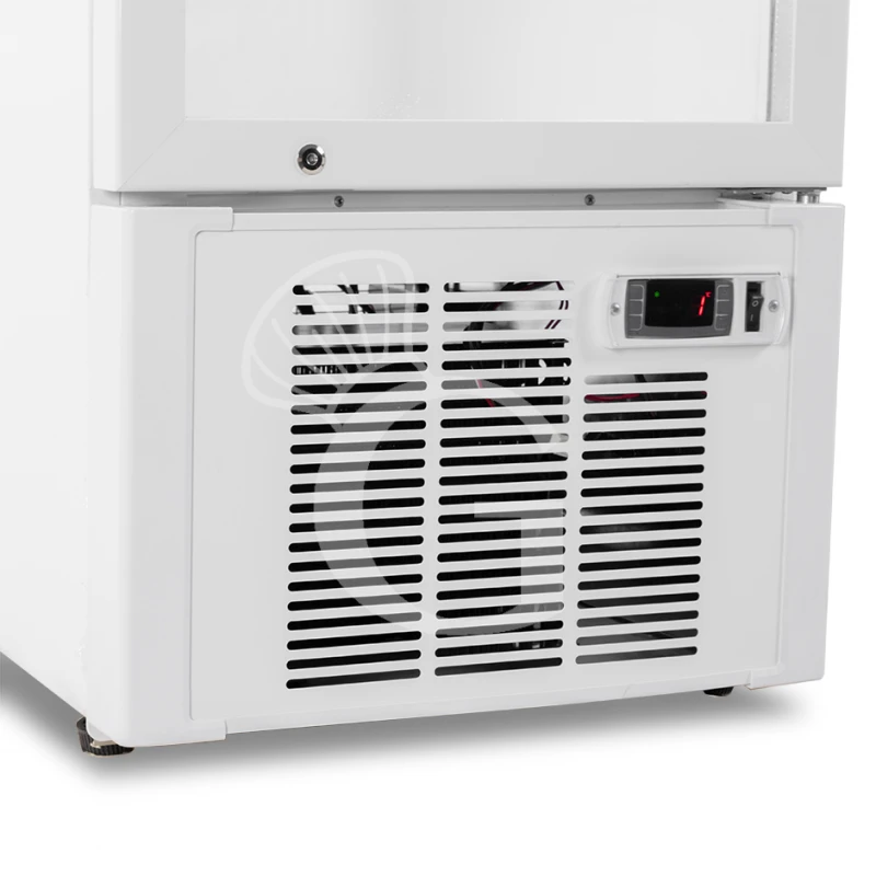 Frigo Bibite Ventilato 1 Porta Battente Con Canopy 181 LT 2°C/+8°C Colore Bianco 7 Frigo Bibite Ventilato 1 Porta Battente Con Canopy 181 LT 2°C/+8°C Colore Bianco - immagine 5