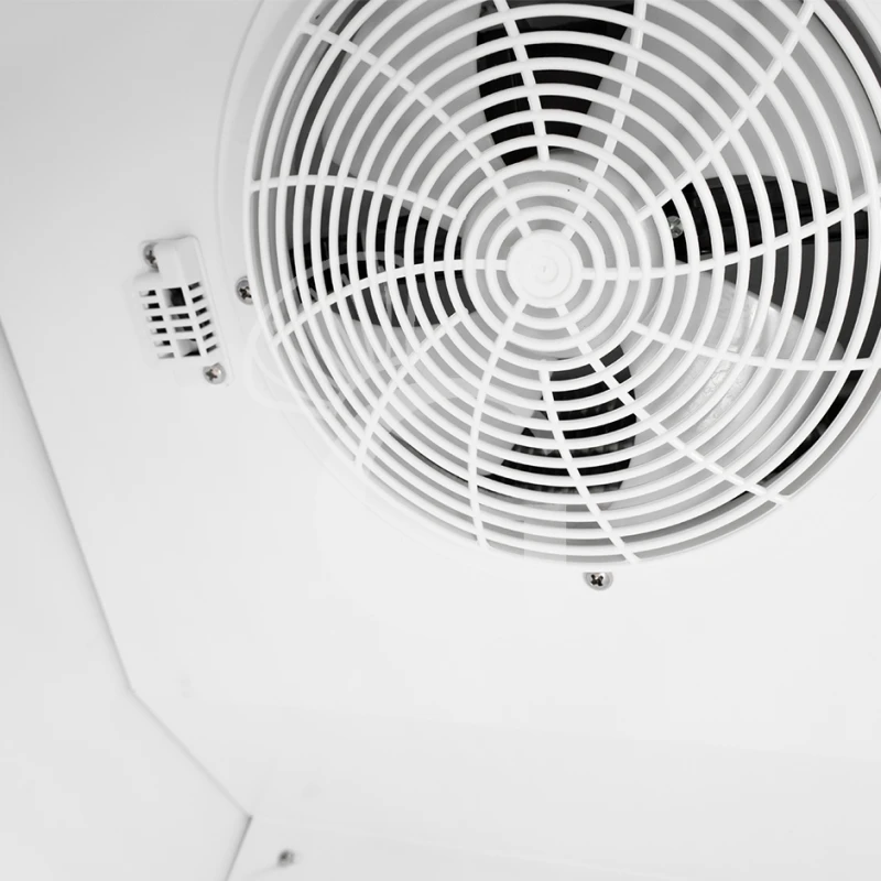 Frigo Bibite Ventilato 1 Porta Battente Con Canopy 181 LT 2°C/+8°C Colore Bianco 9 Frigo Bibite Ventilato 1 Porta Battente Con Canopy 181 LT 2°C/+8°C Colore Bianco - immagine 7