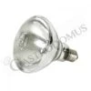 Lampadina Per Lampada Riscaldante -Vendite Gastrodomus lampadina per lampada riscaldante