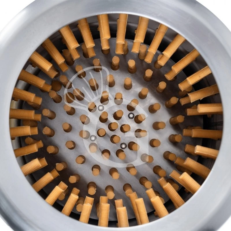 Macchina Spiumatrice Elettrica Per Piccioni A Secco, Cestello Ø 410 Mm - 0,18 KW 7 Macchina Spiumatrice Elettrica Per Piccioni A Secco, Cestello Ø 410 Mm - 0,18 KW - immagine 5