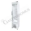 Vetrina Pasticceria Refrigerata Ventilato 250 LT -5°C/+10°C 1 Lato Vetro -Vendite Gastrodomus vetrina pasticceria refrigerata ventilato 1 lato vetro 250 lt 5c10c